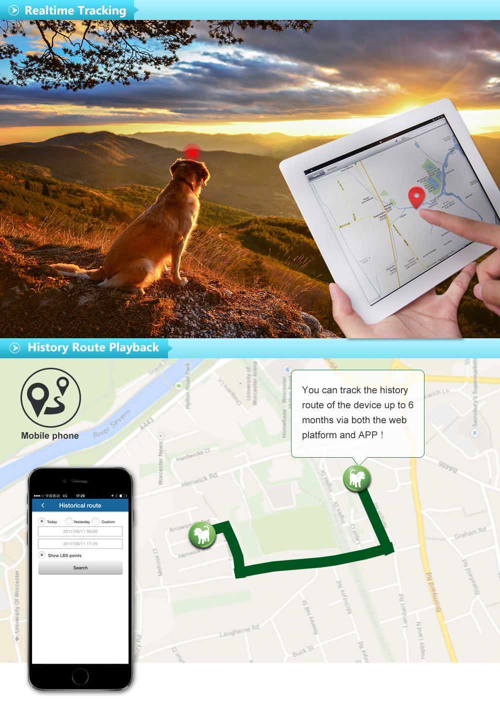 GPS Collare per Cani,Localizzatore per Animali in Tempo Reale Tracciatore di Posizione senza abbonamento Domestici Anti-lost Collare GPS per cane