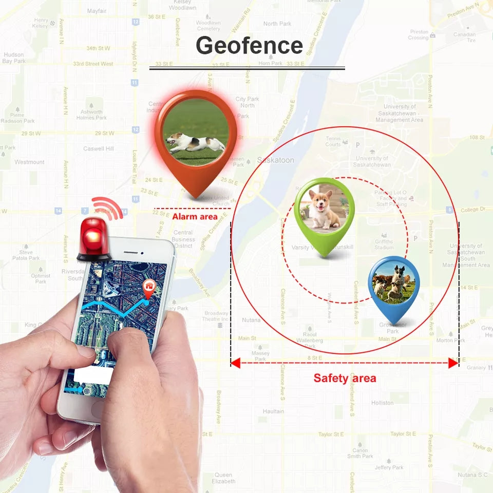 GPS Collare per Cani,Localizzatore per Animali in Tempo Reale Tracciatore di Posizione senza abbonamento Domestici Anti-lost Collare GPS per cane